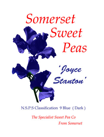 "Joyce Stanton"