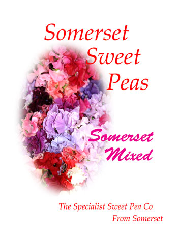 Somerset Mixed Spencers
