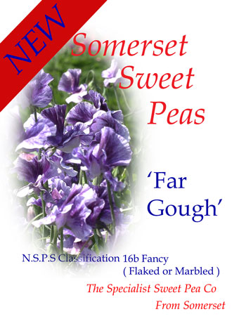 'Far Gough'