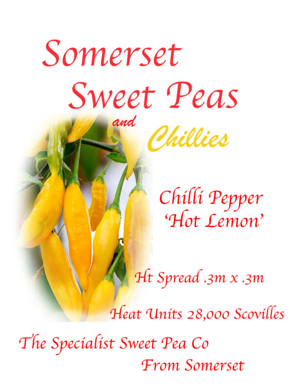 Chilli Pepper 'Hot Lemon'