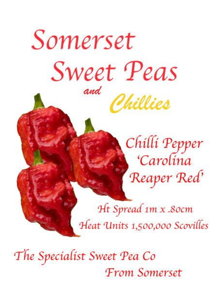 Carolina Reaper Red
